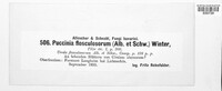 Puccinia flosculosorum image